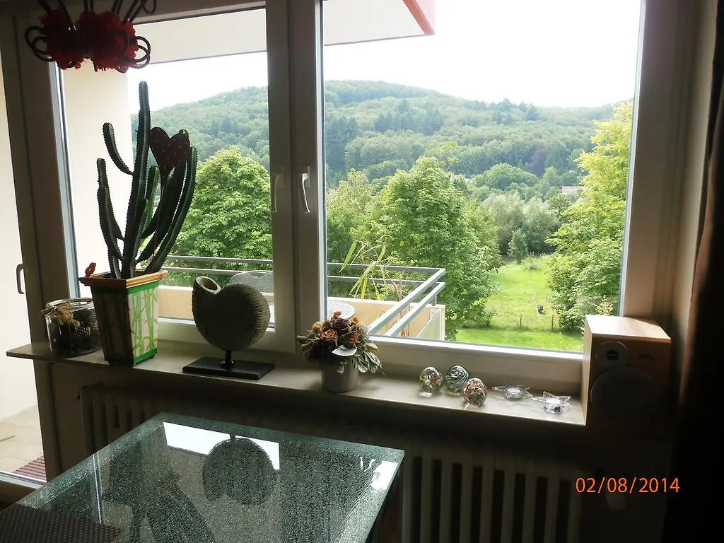 Apartment Saline Bad Kissingen